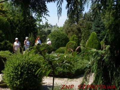 Ogród w Dobrzycy